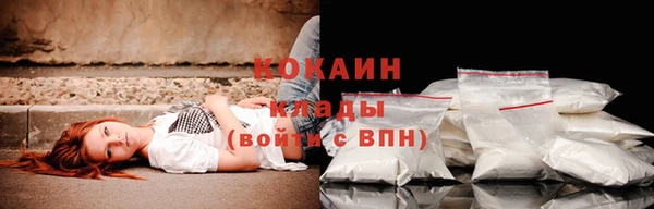 ГАЛЛЮЦИНОГЕННЫЕ ГРИБЫ Лабытнанги