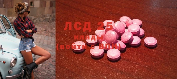 тгк Лагань