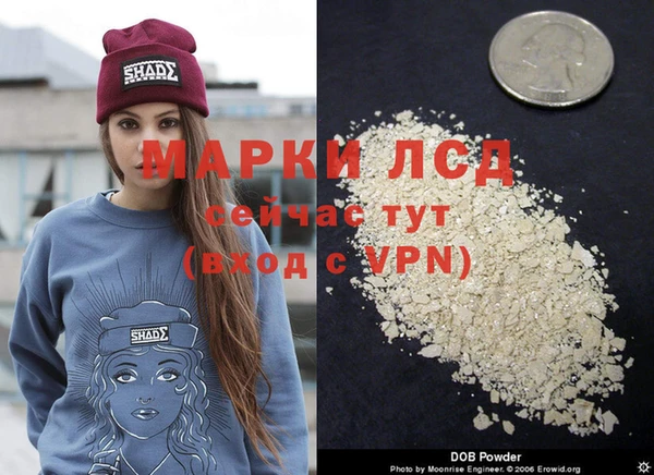 ГАЛЛЮЦИНОГЕННЫЕ ГРИБЫ Лабытнанги