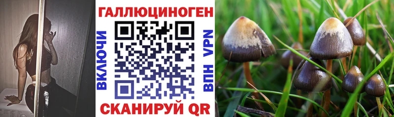 Галлюциногенные грибы ЛСД  Томмот 