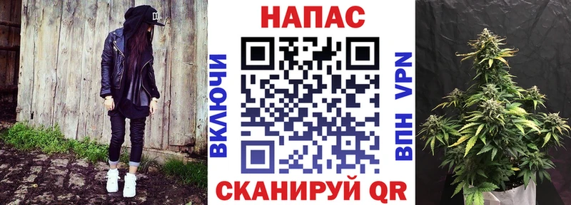 МАРИХУАНА конопля  цены   Томмот 